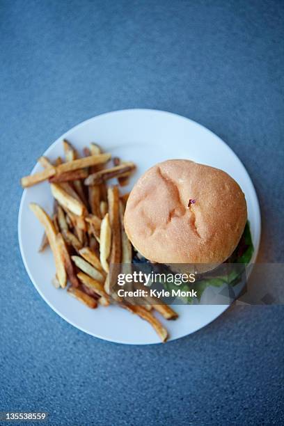 cheeseburger and french fries - cheeseburger and fries stock-fotos und bilder