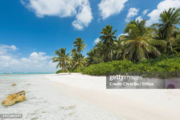 scenic view of beach against sky - klar himmel stockfoto's en -beelden