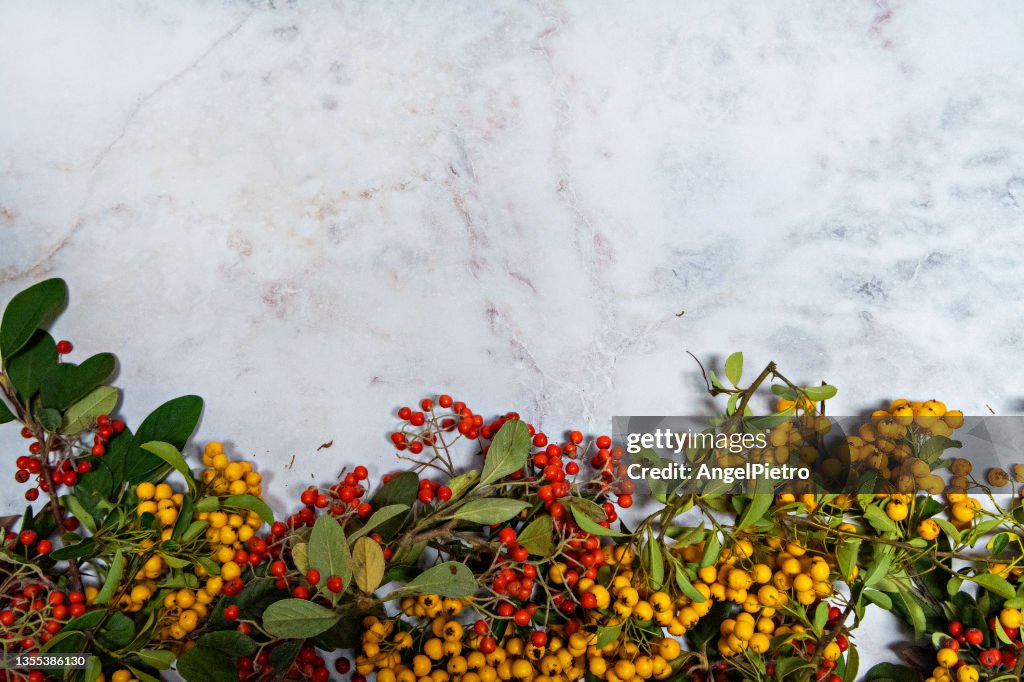 Red and yellow berries on marble white