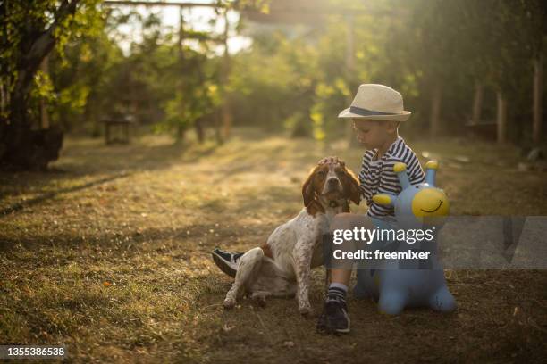 little boy sitting on his toy in back yard and stroking his dog - brittany spaniel stock pictures, royalty-free photos & images