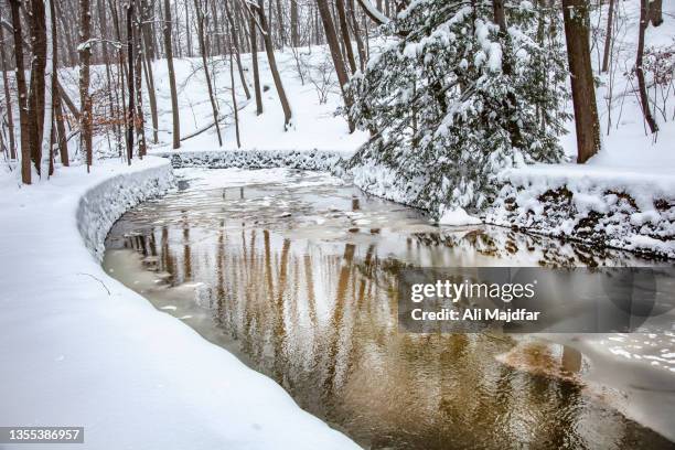 winter in creek - rural ohio stock pictures, royalty-free photos & images