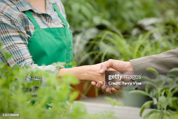 nursery owner greeting salesman - closing sale stock pictures, royalty-free photos & images