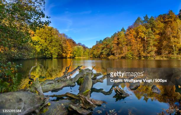 scenic view of lake against sky during autumn,stuttgart,germany - herbstlaub stock pictures, royalty-free photos & images