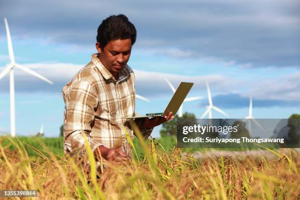 farmer using technology digital laptop inspect or quality control in organic rice farm fields. food quality control, agriculture concept. - agroforestry stockfoto's en -beelden