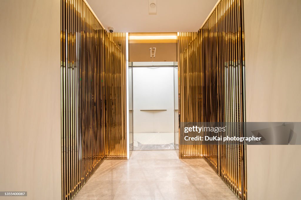 Hotel Luxury Elevator
