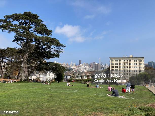 alamo square park in san francisco, the lawn sprayed with heart-shaped markings for social distancing - social distancing park circles stock pictures, royalty-free photos & images