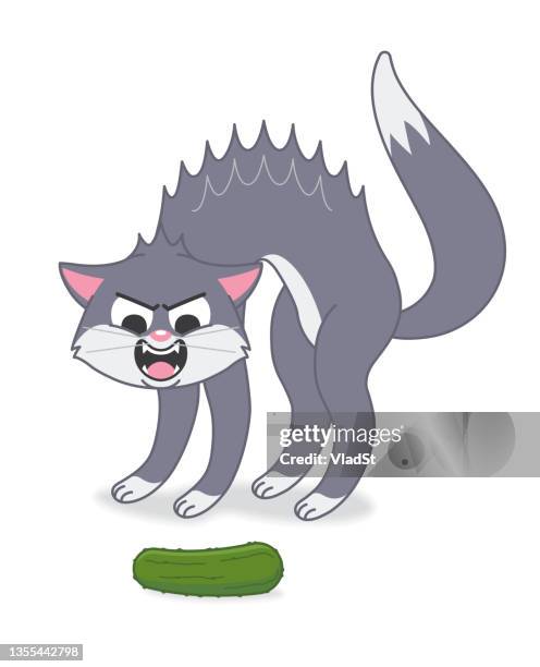 illustrazioni stock, clip art, cartoni animati e icone di tendenza di funny cat video cetriolo scherzo scherzo carino gattino - cetriolo