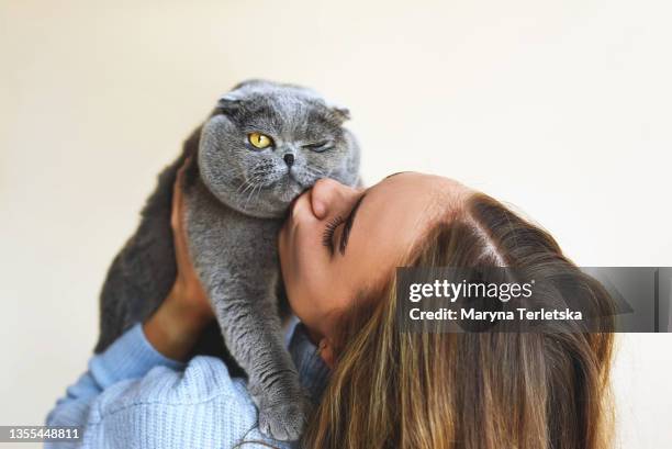 young beautiful girl with a pet cat. - golf cheating foto e immagini stock