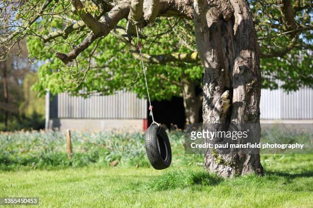 tyre rope swing - tire swing stock pictures, royalty-free photos & images