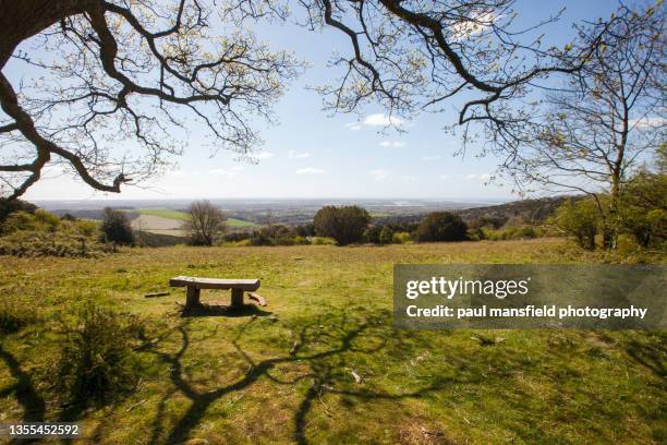 wooden bench on hill - west sussex stock-fotos und bilder