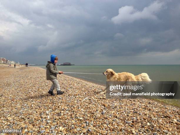 boy playing tug of war with dog - dogs tug of war - fotografias e filmes do acervo