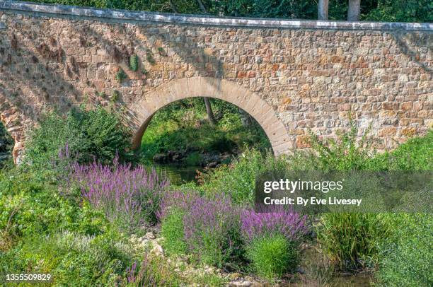 roman bridge - romeinse brug stockfoto's en -beelden
