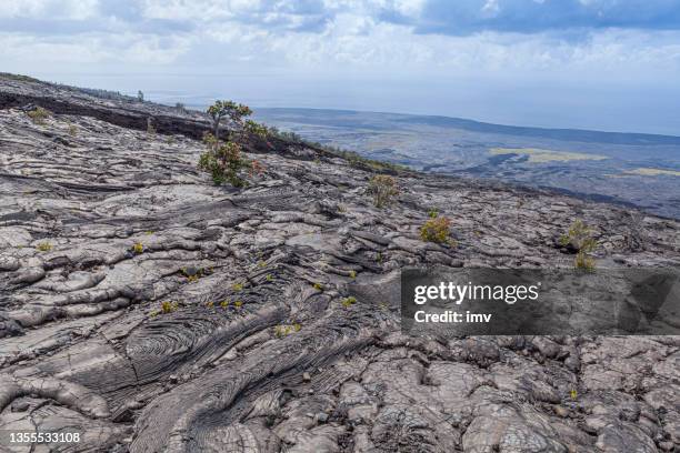 Kilauea's ancient lava flows, lava ropes with vivid colors 이미지 ...