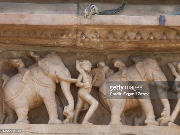 squirrel sits on a cornice above a relief sculpture of warriors and elephants on the wall of the lakshmana temple in khajuraho, india - lakshmana temple stock pictures, royalty-free photos & images