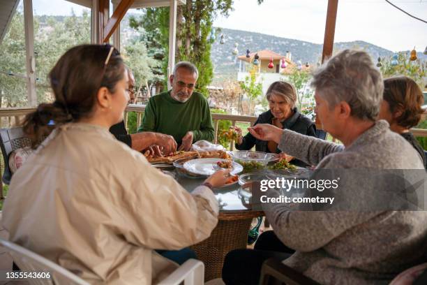 family having a picnic on the patio - turkish ethnicity stock pictures, royalty-free photos & images