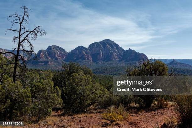 ditching a zoom conference call for things natural - altiplano - fotografias e filmes do acervo