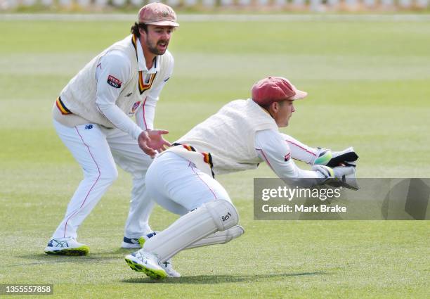 Alex Carey of the Redbacks catches Bryce Street of the Queensland Bulls watchged by Travis Head of the Redbacks during day four of the Sheffield...