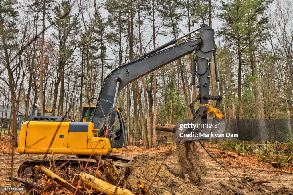 Excavator Clearing Forested Residential Building Lot