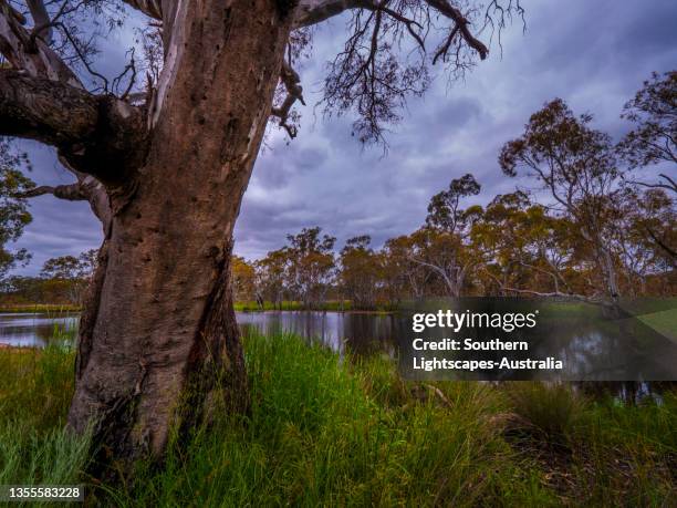 Lake Mountain Victoria Photos And Premium High Res Pictures Getty Images lake-mountain-victoria-photos-and-premium-high-res-pictures-getty-images