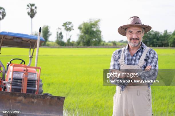 middle aged farmer standing cross arm at rice field - farmer confident serious stock pictures, royalty-free photos & images