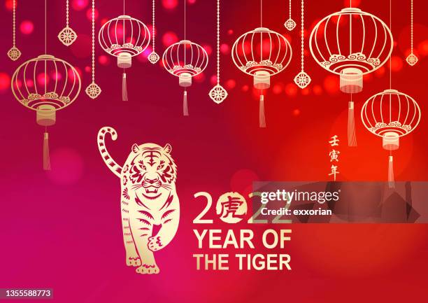 ilustraciones, imágenes clip art, dibujos animados e iconos de stock de celebra el año nuevo chino con tiger - linterna de papel