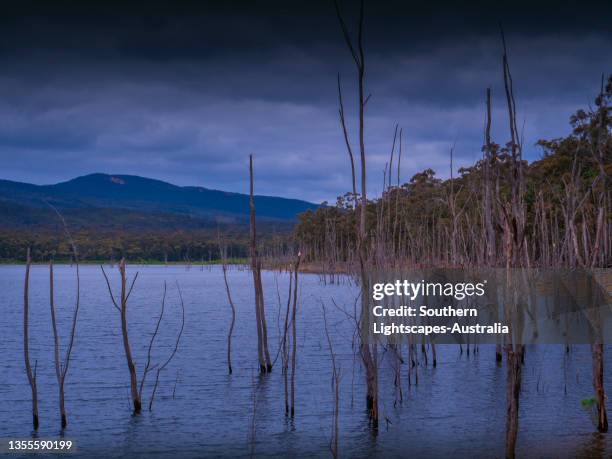 Bellfield Victoria Photos And Premium High Res Pictures Getty Images bellfield-victoria-photos-and-premium-high-res-pictures-getty-images