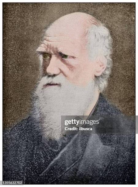 antique photograph: charles darwin - darwin stock illustrations