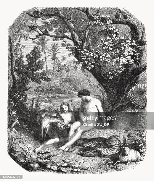bildbanksillustrationer, clip art samt tecknat material och ikoner med adam and eve in the paradise, wood engraving, published 1862 - adam eva