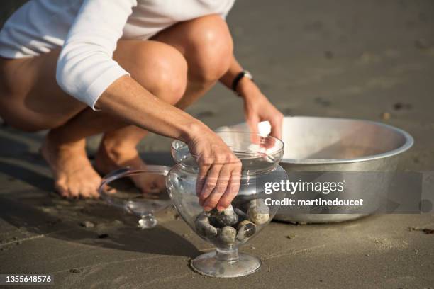 Beach Shell Sorting Wells Beach Maine Photos and Premium High Res Pictures - Getty Images