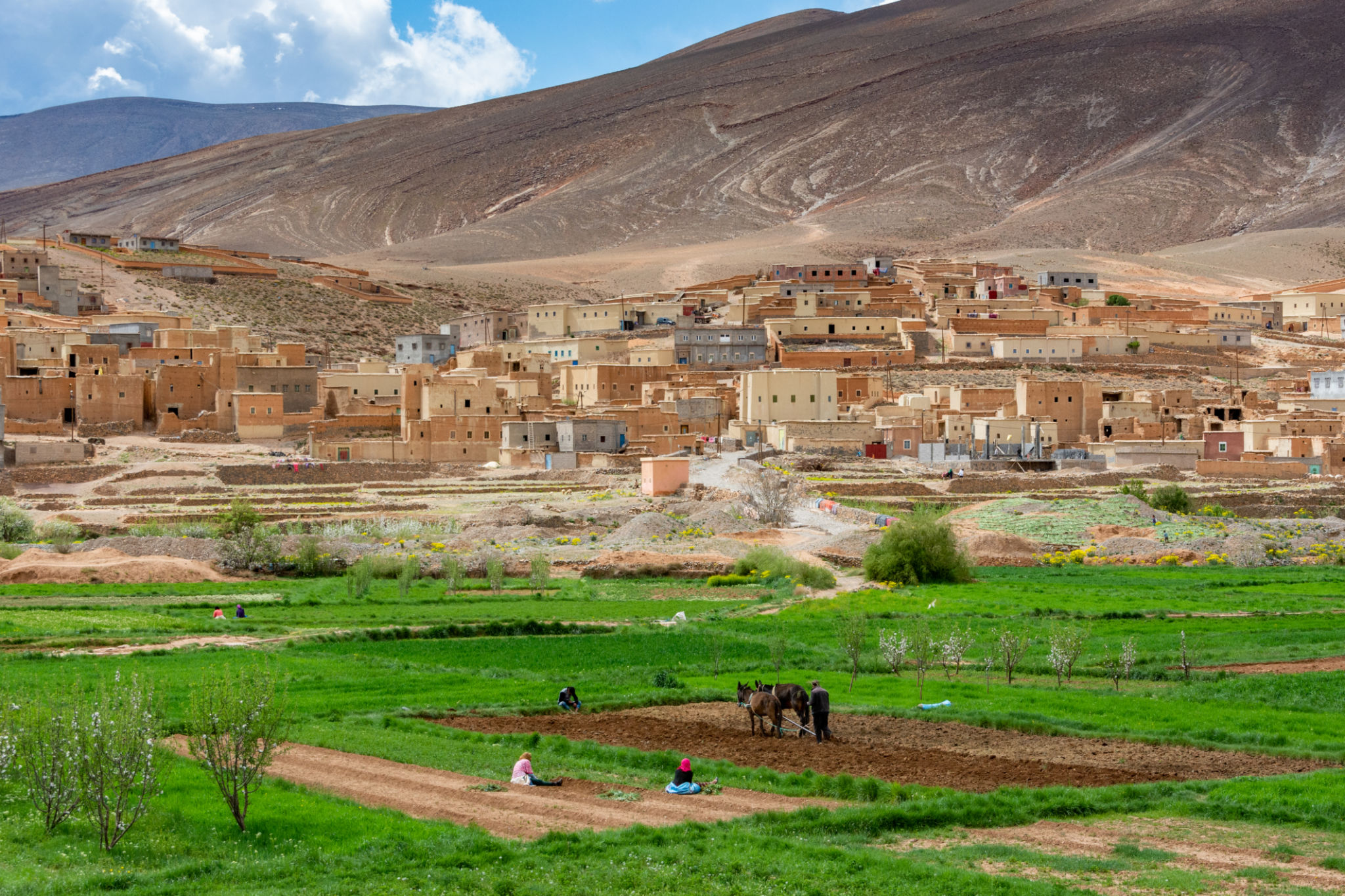 business meeting northern morocco