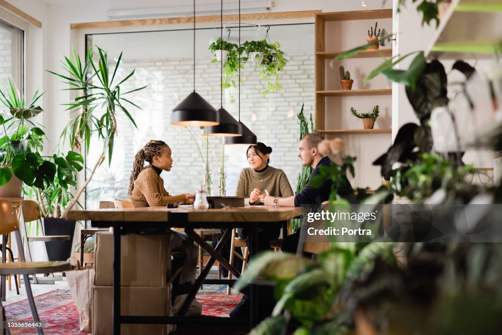 HR managers conducting a job interview at startup office