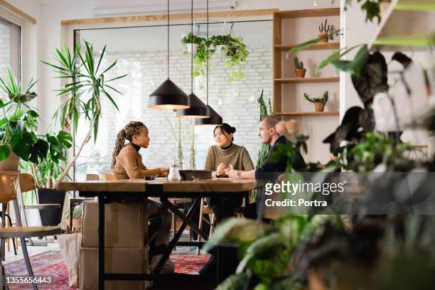 hr managers conducting a job interview at startup office - plants 個照片及圖片檔