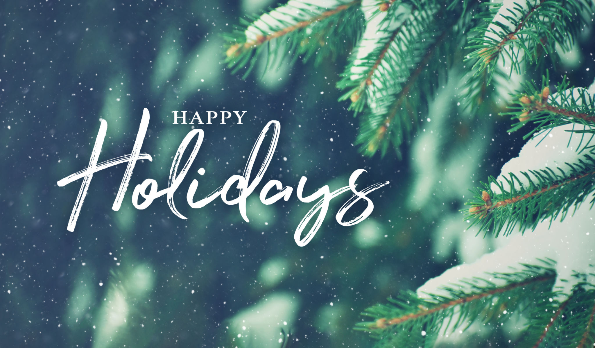 holiday contest giveaway