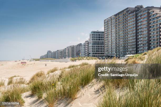the beach and tourist resort at koksijde - belgische kust stockfoto's en -beelden