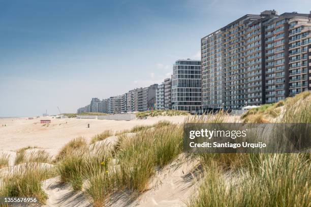 the beach and tourist resort at koksijde - strand stockfoto's en -beelden