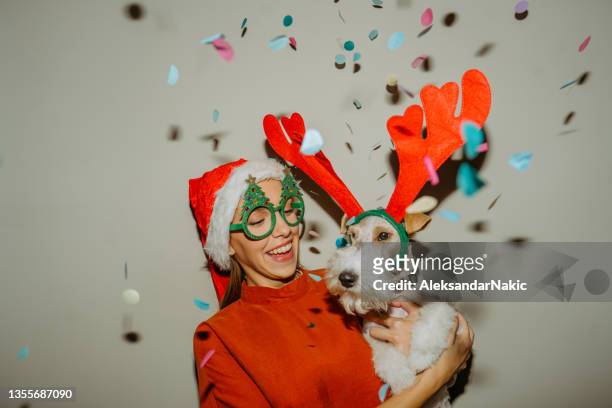 portrait für weihnachtskarte mit meinem hund - christmas kit stock-fotos und bilder
