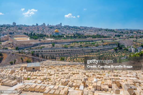 monte de los olivos, jerusalén, israel - ciudad vieja jerusalén fotografías e imágenes de stock