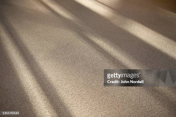 shadows on the floor in the lobby of a school building - カーペット ストックフォトと画像