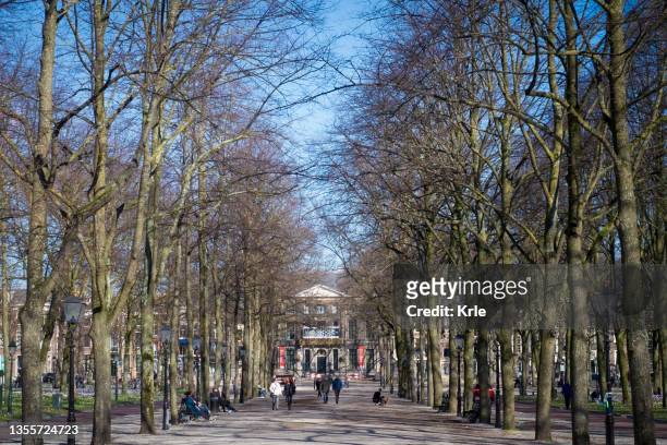beautiful park in the center of the city, place for bookmarket and antique objects - the hague stock pictures, royalty-free photos & images