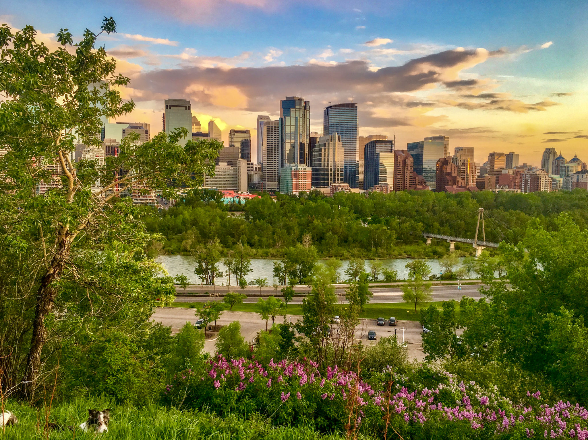 calgary spring