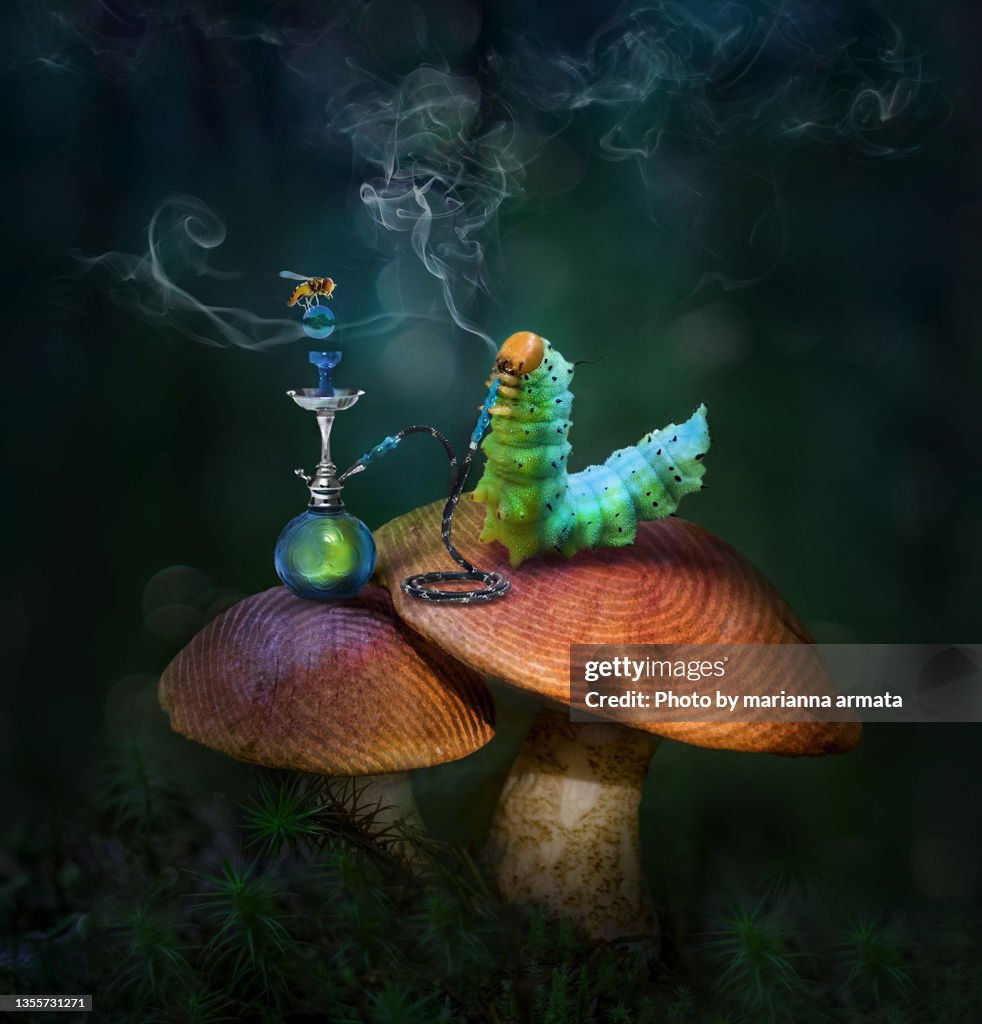 Alice in Wonderland blue caterpillar on a mushroom