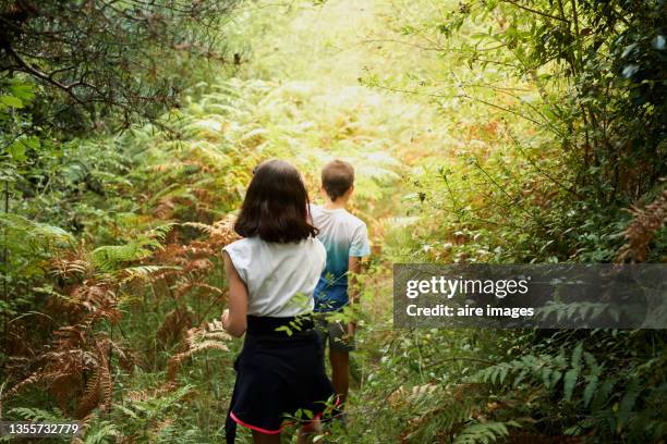 view from behind of young boy and girl walking in line through a lush forest in the summer. young people dressed in light clothing exploring in forest during their family camping trip. - quirky family stockfoto's en -beelden