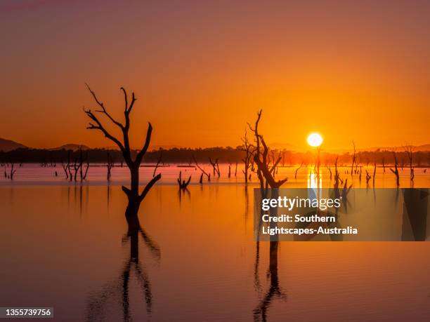 1 633 Victoria Park Western Australia Stock Photos High Res Pictures 1-633-victoria-park-western-australia-stock-photos-high-res-pictures