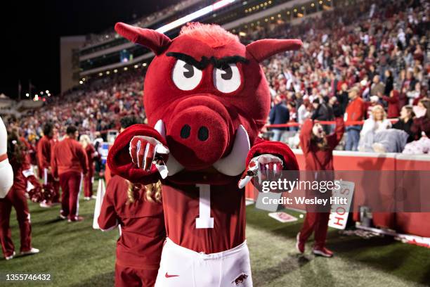 Mascot Big Red of the Arkansas Razorbacks celebrates the win after a game against the Missouri Tigers at Donald W. Reynolds Razorback Stadium on...