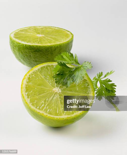 halved lime with sprig of coriander - coentro imagens e fotografias de stock
