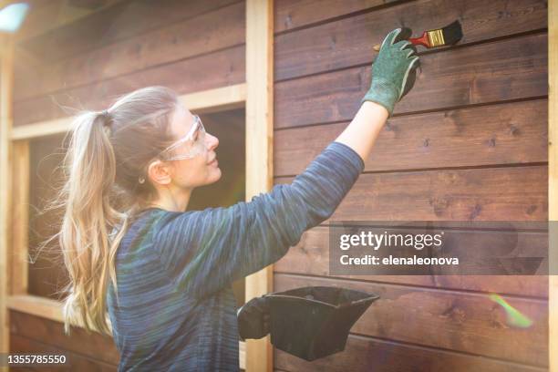 woman repairing a garden house - coating stockfoto's en -beelden