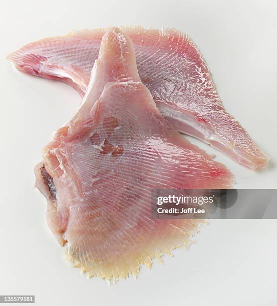 skate wings - ray fish stock pictures, royalty-free photos & images