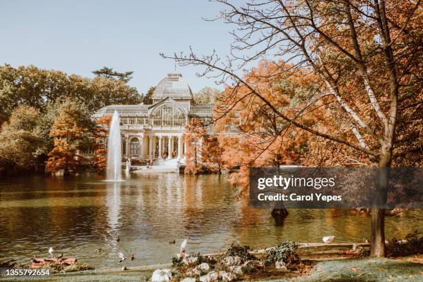 view of the crystal palace, retiro park (madrid) - casa de jardim ou parque - fotografias e filmes do acervo