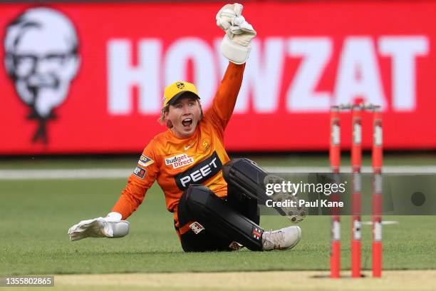 Beth Mooney of the Scorchers appeals successfully for the wicket of Dane van Niekerk of the Strikers during the Women's Big Bash League Final match...