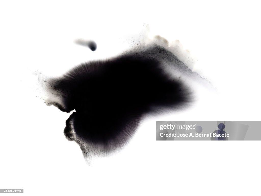 Drop of black paint slides on a blank canvas.